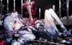 魔法少女的魔女审判 Magical Girl Witch Trials 中文 nsp 网盘下载