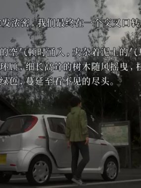 [树海迷宫].Jukai Maze 美版中文