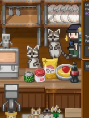 天空终端市场/Sky End Market