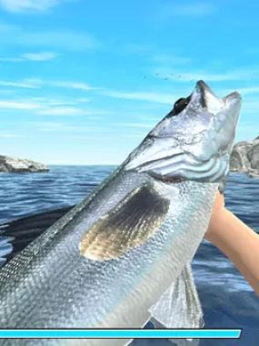 switch游戏《Reel Fishing: Road Trip Adventure》英文版nsp下载