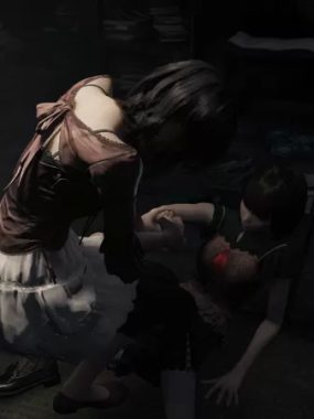 零：红蝶重制版/零 ～红蝶～ 重制版/FATAL FRAME II: Crimson Butterfly REMAKE