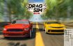 switch游戏《Drag Sim 2020》英文版nsz+nsp+xci下载